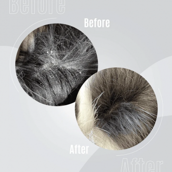 TAURO PRO LINE Pure Nature Repairing Elixier Nr. 2